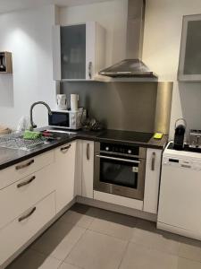 Villeurbanne Super Apartment in residence