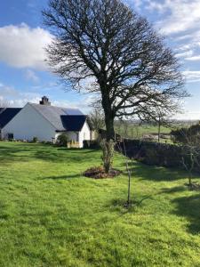 1 Dromore Cottage