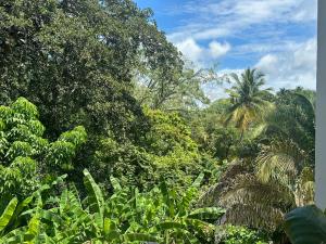 Tu apartamento tipo estudio ideal, cómodo y equipado