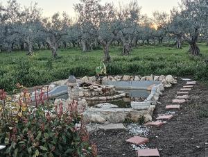 B&B Pozzo Innamorato