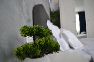 Studio în Centru - Cinema Smart TV 165cm cu Netflix 4k Premium - Hbo