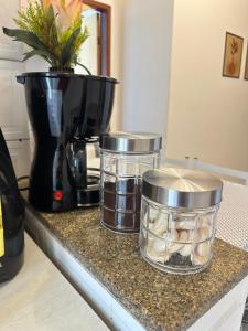 Perto da Praia do Forte - Tudo a Pé - Pet