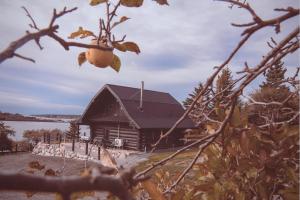 The Black Crow Lodge with w Hot Tub & Views