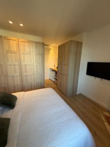 Renovated two-bedroom apartment in center of Cannes - station and beach nearby
