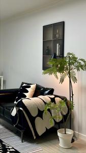 Oferta noclegów 15889238