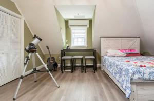 LARGE STUDIO open concept in Boston Zoo Franklin Park near