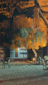 Rum Arena camp