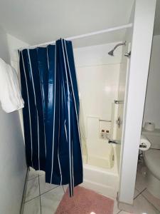1Bd Prime Westwood Location One Block from UCLA