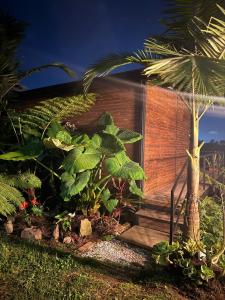 Gampling el Cielo los pinos