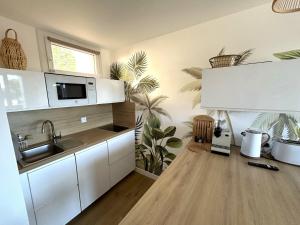 Appartement rénové climatisé - proche plage - FR-1-837-104