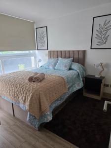 Excelente descanso y ubicacion Departamento Barrio Italia