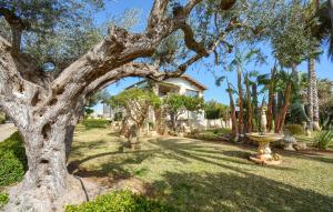 Awesome Home In Cava Daliga With Wifi