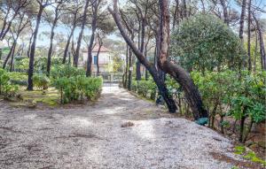 1 Bedroom Pet Friendly Home In Quercianella