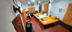Bird Nest Homestay