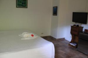 La Posada Jungle Hotel