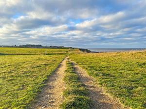 Shepherds Hut - Uk49729