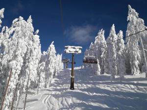 Mansion in Eben near Ski Salzburger Sportwelt