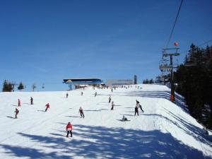 Mansion in Eben near Ski Salzburger Sportwelt
