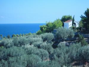 7 Islands Spetses Greece