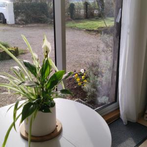 Studio Nature
