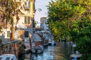 Venezia Biennale Bianco & Rosso