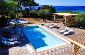 The Beach House