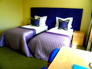 Twin Room room in Malvern House
