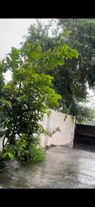Padda Farm house