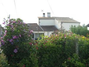 B&B / Chambres d'hotes La Halte de Segondignac : Chambre Triple Confort avec Douche