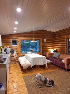 Beautiful Cottage at Lake Saimaa