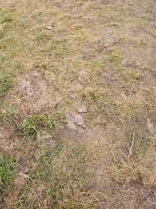 Ubytování Potok není správná adresa srazu na SK Rpety