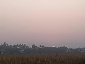 Property near cochin international airport