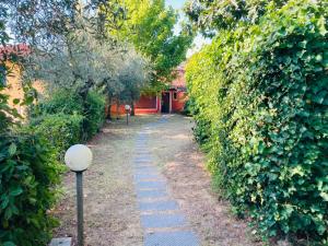 Il Belvedere Holiday house in the Tuscan