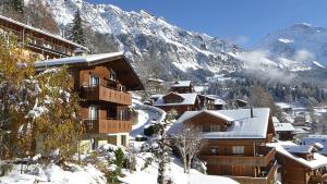 Two-Bedroom Apartment room in Chalet Gerbera
