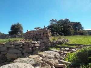 La Casa Del Poeta img68