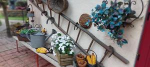 Gîte LE GRAND VOYEUX