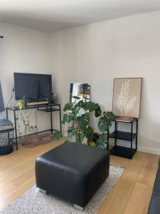 Cozy apartment in Ghent