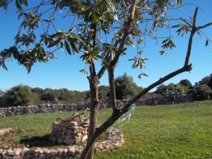 La Casa Del Poeta img70