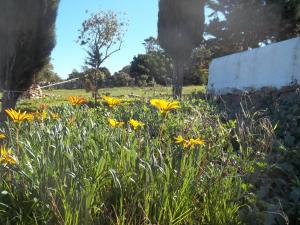 La Casa Del Poeta img78