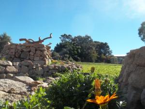 La Casa Del Poeta img75