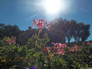 La Casa Del Poeta img76