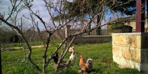 B&B / Chambres d'hotes La Ferme du Ciel : photos des chambres