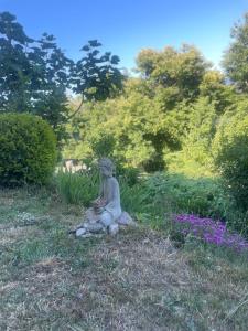 Studio nature Alto Malcantone