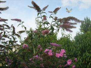 B&B / Chambres d'hotes La Halte de Segondignac : photos des chambres