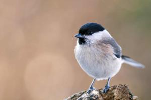 ENJ Farmstay in Hokkaido