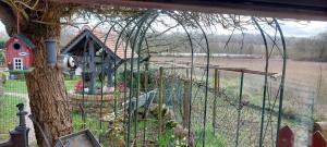 Gîte LE GRAND VOYEUX