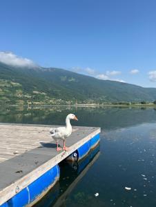 Guest House Blue Views