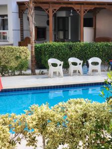 Port Said بورتوسعيد غرفتين ارضي للعائلات فقط