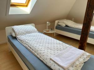4-Bett Apartment im Zentrum - Nähe Restaurant & Waschsalon - WLAN, Parkplatz, Bad & mehr