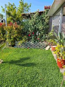 Souzanas house